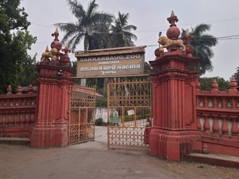 Junagadh_Sakkarbaug Zoological Gardens_2